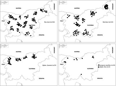 Seroprevalence of infectious pathogens of zoonotic and veterinary importance in wild ruminants from Slovenia